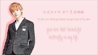 EXOM  Dont Go 蝴蝶少女 Color Coded ChinesePinYinEng Lyrics [upl. by Alexander]