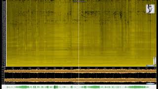 Karlheinz Stockhausen  PROZESSION 1967 [upl. by Sheela]