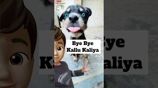 Miss You Kallu Kaliya 🥹  minivlog [upl. by Tserrof]