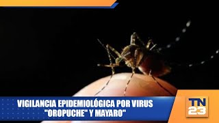 Vigilancia epidemiológica por virus quotOropuchequot y Mayaroquot [upl. by Kara]