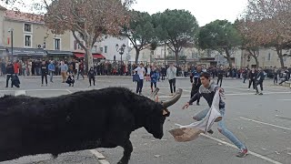 Eyragues  Encierro de la SaintBonnet 2023  Manade Aubabel [upl. by Idac]