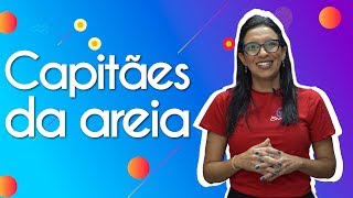 Capitães da Areia  Análise Literária  Brasil Escola [upl. by Ellenad264]