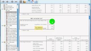 SPSS Einführungsvideo 5  Faktorenanalyse am Beispiel von Audi [upl. by Yelich883]