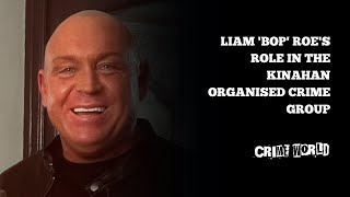 Liam Bop Roes role in the Kinahan Organised Crime Group [upl. by Galvan614]