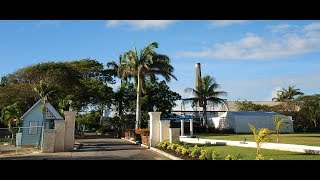 Four Square Rum Distillery Barbados Rum Tasting and Tour [upl. by Halludba931]