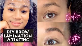 At Home Brow Lamination and Tinting  Before amp After Eyebrow Lamination DIY [upl. by Auburn]