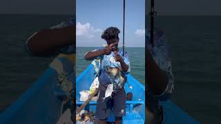 💯 Catching Fish in 30 seconds Challenge￼ 🎣 shorts [upl. by Jemmy]