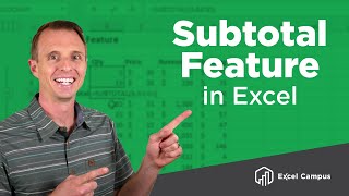 How To Use The Subtotal Feature And Subtotal Function In Excel [upl. by Byrd409]