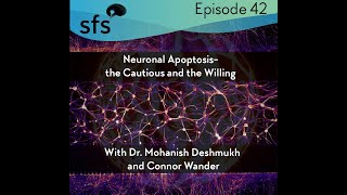 Ep 42 Neuronal Apoptosis The Cautious and the Willing with Dr Mohanish Deskmukh and Connor [upl. by Anabahs]