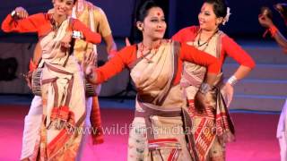 Assamese women present signature Bihu dance [upl. by Nhoj]