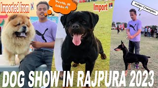 Dog Show in Punjab 2023  Rajpura Dog show 2023  Worth 10 lakhs 😱 [upl. by Moira710]