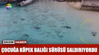 Çocuğa köpek balığı sürüsü saldırıyordu [upl. by Ylram32]