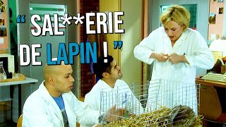 Ils donnent de la morphine à un lapin 😱 [upl. by Nnael]