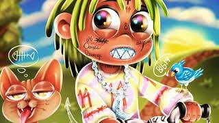 Trippie Redd  Big 14 Snippets Extended [upl. by Verada64]