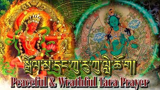 ☸Peaceful amp Wrathful Tara Prayerསྒྲོལ་མ་དང་ཀུ་རུ་ཀུ་ལླེ་ཆོ་ག། Green Tara Red Tara PrayerDolma 21 [upl. by Winnah17]