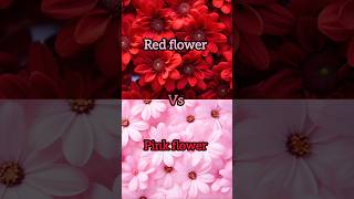 Red flower🌹❤️vs pink flower 🌷💖gown👗heels👠nail💅lipstick💄watch⌚ring💍cake🎂shortsviral [upl. by Tdnarb473]