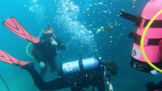 kids Homeschool dive blue grotto part 1 [upl. by Yruok]