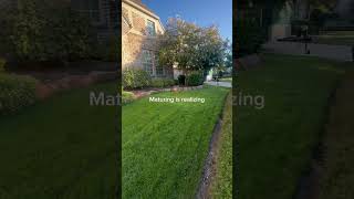 Send this to someone who needs to hear this 🌱🚿Lawncare Lawntips Lawnmowing Watering Mowing [upl. by Erb]