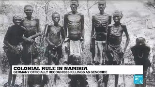 Germany apologises for colonialera genocide in Namibia [upl. by Eseeryt]