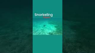 Snorkeling Tour 7877104297 travel chinovillapesquera adventurepatillas watersportspatllas [upl. by Ateloj]