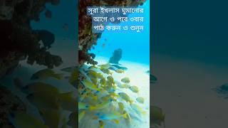 সূরা ইখলাসsurahikhlas islamicvideoshortsvideo shortsyoutubeshortsviralshortshighlightsquran [upl. by Leahcimsemaj]