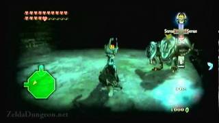 Legend of Zelda Twilight Princess Walkthrough 21 68 quotCave of Ordeals Floors 4047quot [upl. by Brooking550]