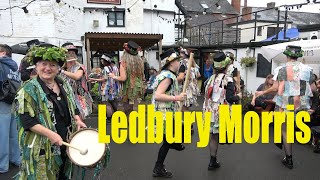 Ledbury Morris dance at Bromyard Folk Festival 2024 [upl. by Nomaj773]