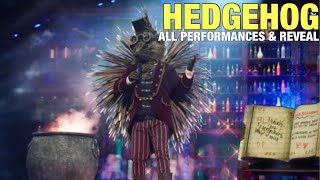 The Masked Singer Hedgehog All Clues Performances amp Reveal [upl. by Inanak]