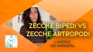 Zecche bipedi vs Zecche artropodi  Pet Ross Channel [upl. by Nylirad550]