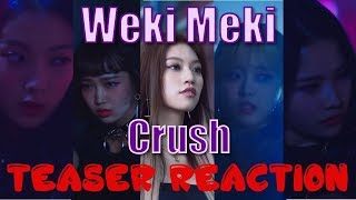 Weki Meki 위키미키  Crush  Teaser 1 Reaction [upl. by Erodroeht263]