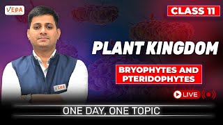 Bryophytes and Pteridophytes  Plant Kingdom  class 11  Biology  One Day One Topic [upl. by Annahs]