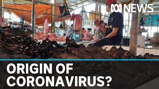 Did coronavirus come from a pangolin in a Wuhan wet market  ABC News [upl. by Kenwood]