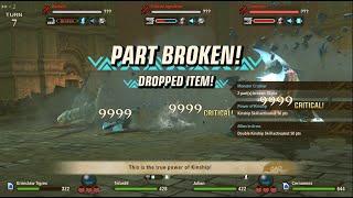 MHS2 30000 damage in 1 round [upl. by Nerua803]