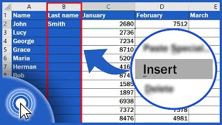 How to Insert Column in Excel [upl. by Iroj]