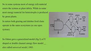 y shaped energy flow model [upl. by Noam]