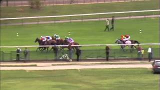 Qatar Prix du Petit Couvert [upl. by Torr]