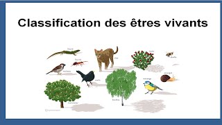 Classification des êtres vivants [upl. by Zoldi]