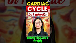 How Does Our Heart Work shortsfeed cardiaccycle heartsounds biologyforneet bhartisingh [upl. by Araes303]