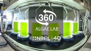 360° Algae Lab View at NREL [upl. by Nivlac]