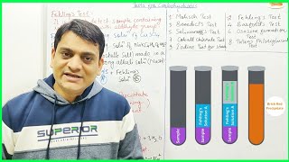 Part 2 FehlingsTest with Reactions  Test for Carbohydrates [upl. by Elehcor]
