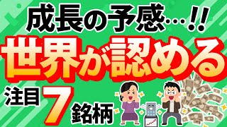 【成長への期待】世界が認めるすごい企業！グローバルニッチ【注目7銘柄】 [upl. by Easter717]