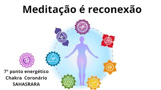 Meditação é reconexão foco no 7° chakra  Studio Shivaya [upl. by Teteak35]