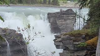 ATHABASCA FALLS JASPER CANADA 🇨🇦 [upl. by Wenn145]