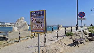 6 Novembre 2024 Ayia Napa Harbour Limanaki Beach Cyprus [upl. by Gnen]