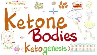 Urine Ketone Bodies  Ketosis and Ketoacidosis  Lab Chemistry [upl. by Nyltyak]