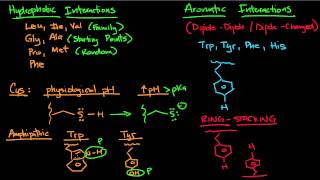 Hydrophobic and Aromatic Interactions [upl. by Notlem702]