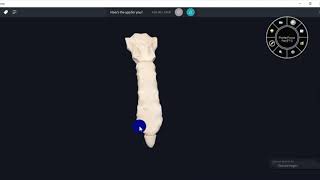 ANATOMY OF STERNUM WITH MUSCLE ATTACHMENTS 3D VIDEOTHORAX3D ANATOMY [upl. by Tsirhc178]