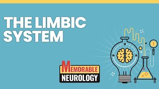 Limbic System Mnemonics Memorable Neurology Lecture 2 [upl. by Trebeh]