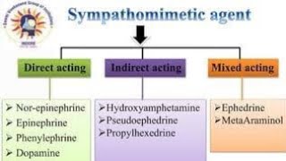 Classification of Sympathomimetic Drugs  Direct acting Indirect acting and Mixed acting [upl. by Hild974]