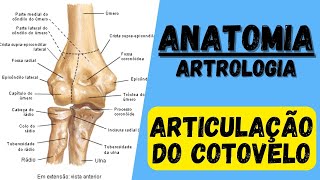 Articulação do COTOVELO Anatomia Classificação ligamentos e movimentos [upl. by Austreng]